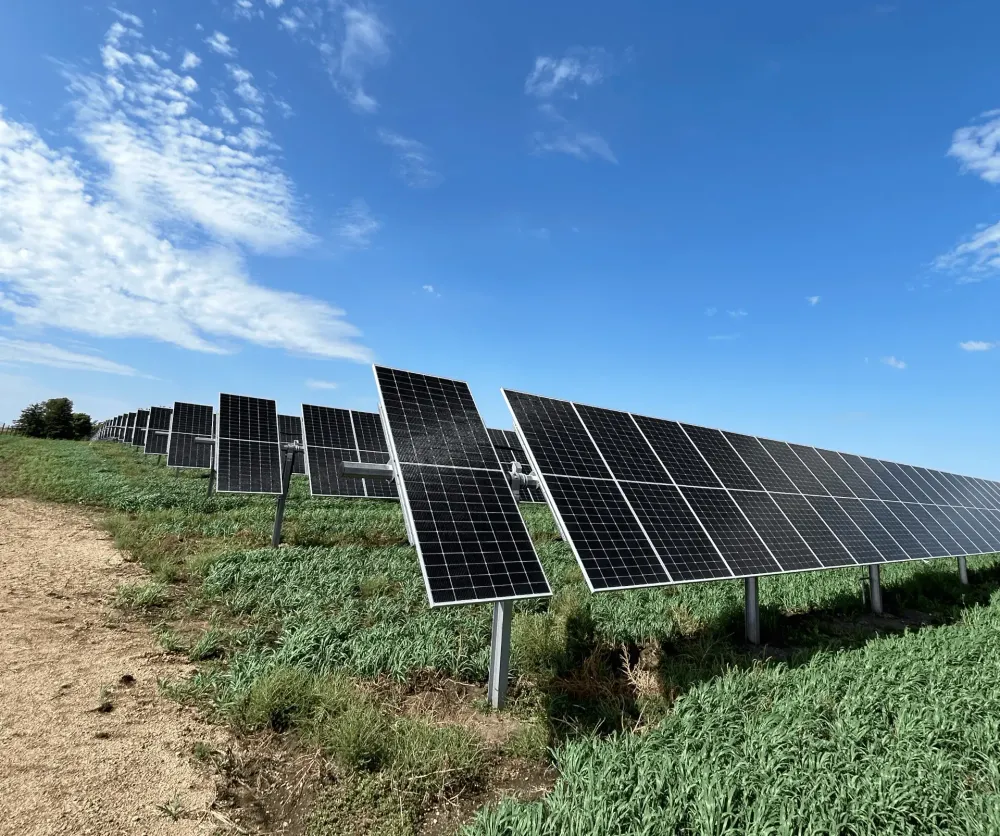 photo of solar panel array