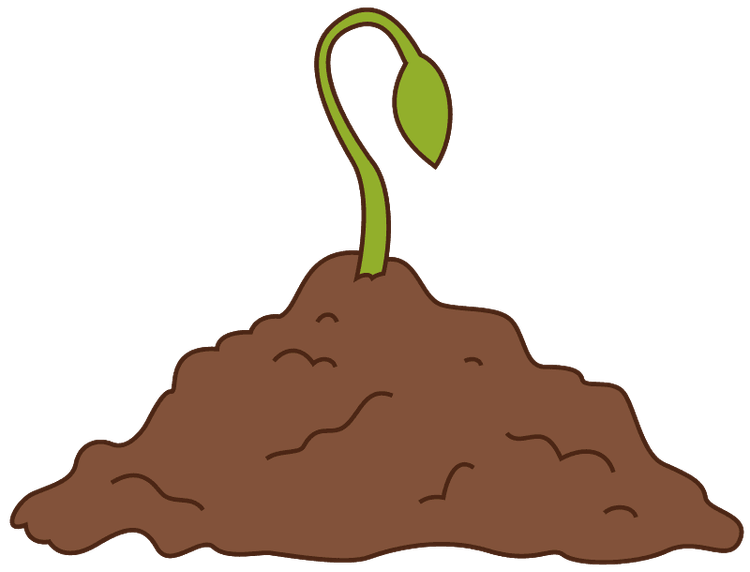Illustration of a sprout